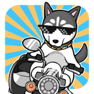 智商不掛科游戲