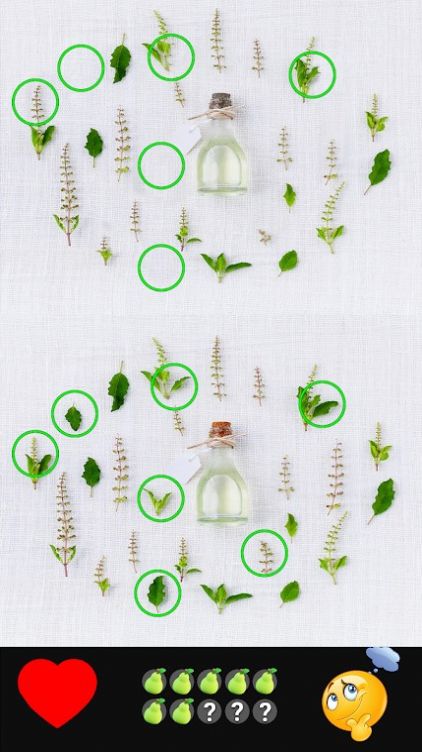 1680058019164640.jpg 1680058019164640.jpg